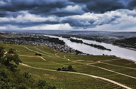 Weinberge am Rheinufer unter dramatischem Gewitterhimmel mit Blick auf den Fluss und die umliegende Landschaft in der Weinregion.
