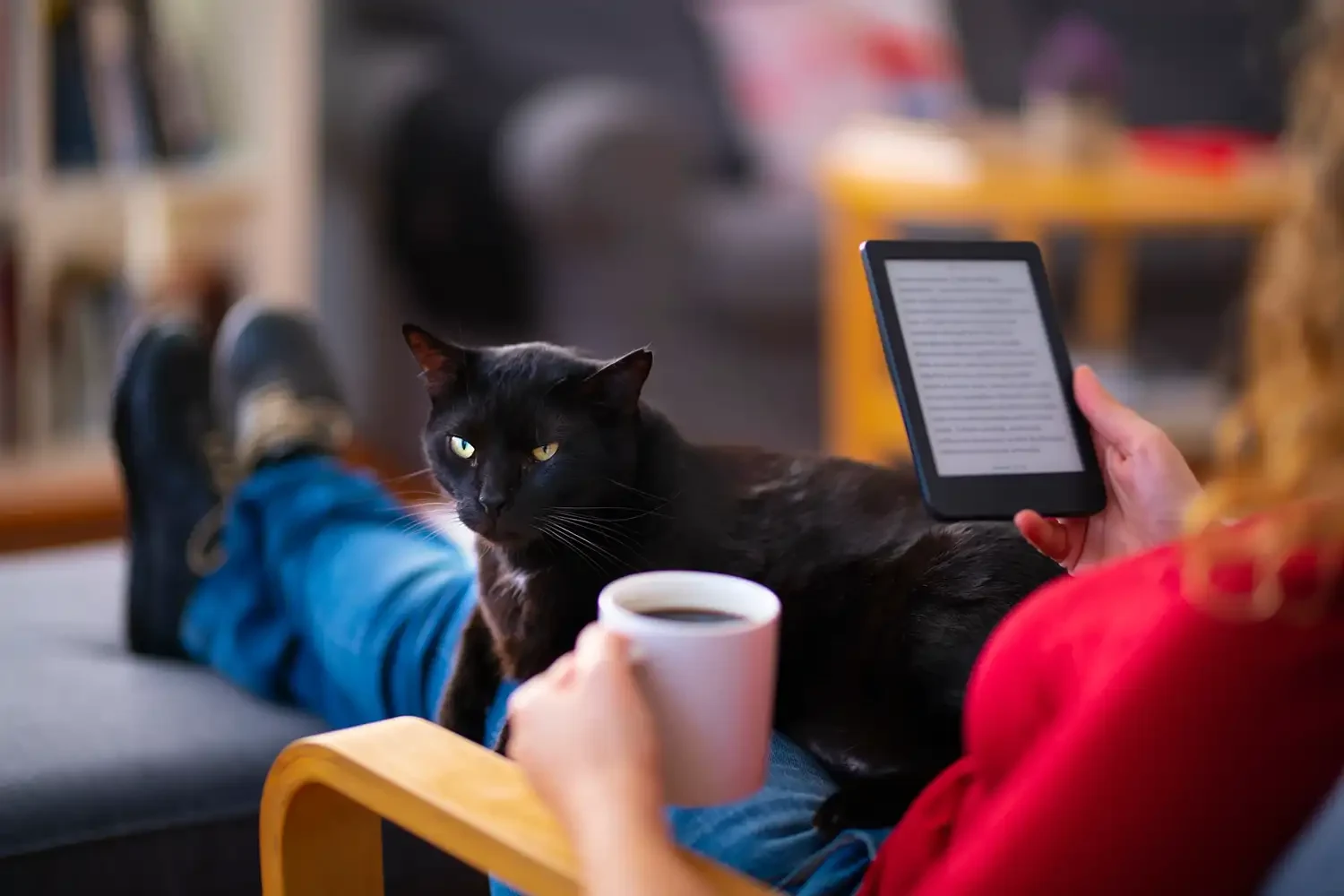 Schwarze Katze liegt auf dem Schoß einer Person, die einen E-Reader hält und eine Kaffeetasse in der Hand hat.